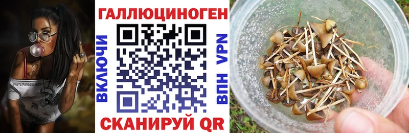 Галлюциногенные грибы ЛСД  Купить  Торжок 