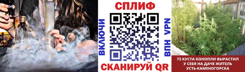 Купить закладки  Торжок  Бошки марихуана AK-47 